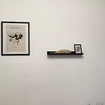 Simplicity Center *